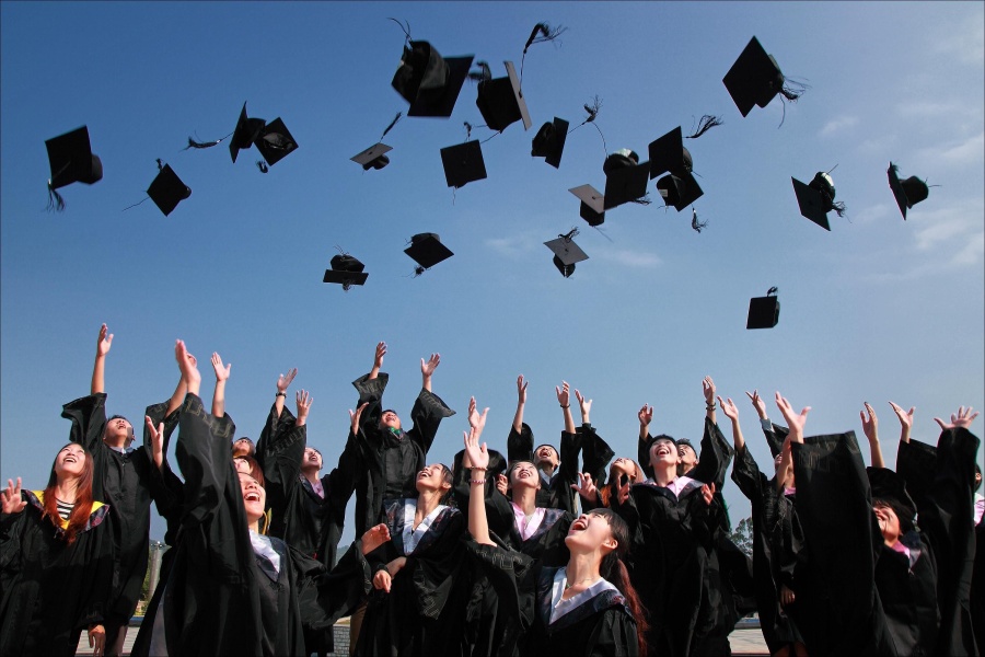 Laurea